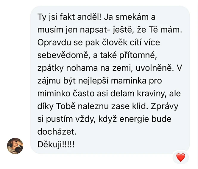 obrázek s&nbsp;1. referencí